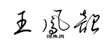 梁锦英王凤韶草书个性签名怎么写