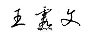 梁锦英王霞文草书个性签名怎么写