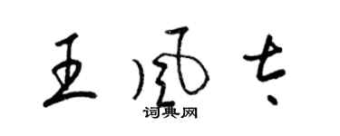 梁锦英王风太草书个性签名怎么写