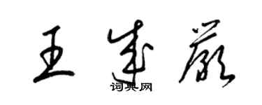 梁锦英王成严草书个性签名怎么写