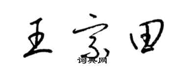 梁锦英王宗田草书个性签名怎么写