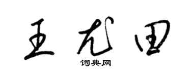 梁锦英王尤田草书个性签名怎么写