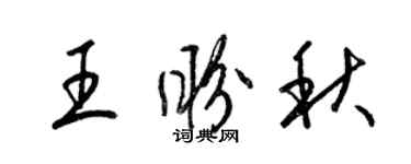 梁锦英王盼秋草书个性签名怎么写