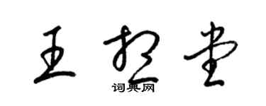 梁锦英王想堂草书个性签名怎么写