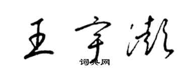 梁锦英王宇澎草书个性签名怎么写