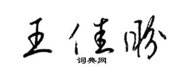 梁锦英王佳盼草书个性签名怎么写