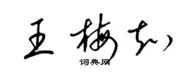 梁锦英王梅知草书个性签名怎么写