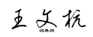梁锦英王文杭草书个性签名怎么写