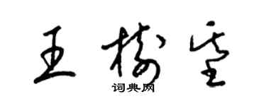 梁锦英王树基草书个性签名怎么写
