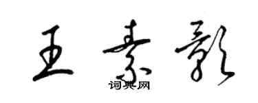 梁锦英王素影草书个性签名怎么写