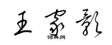 梁锦英王家影草书个性签名怎么写