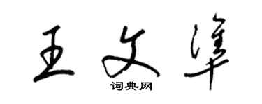 梁锦英王文准草书个性签名怎么写