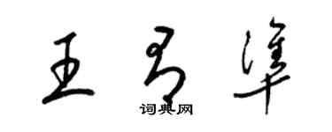 梁锦英王有准草书个性签名怎么写