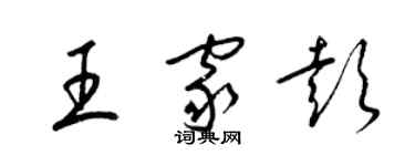 梁锦英王家彭草书个性签名怎么写