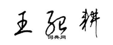 梁锦英王绍耕草书个性签名怎么写