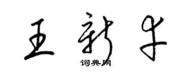 梁锦英王新幸草书个性签名怎么写