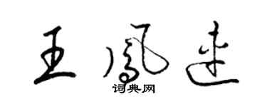 梁锦英王凤连草书个性签名怎么写