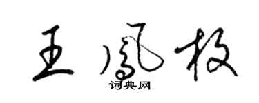 梁锦英王凤枚草书个性签名怎么写