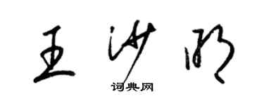 梁锦英王沙明草书个性签名怎么写
