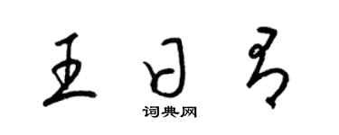 梁锦英王日有草书个性签名怎么写