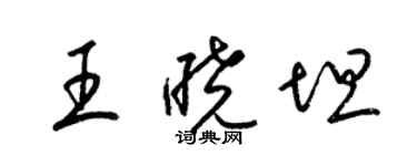 梁锦英王晓坦草书个性签名怎么写