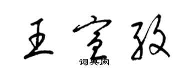 梁锦英王宣孜草书个性签名怎么写