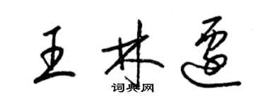 梁锦英王林迁草书个性签名怎么写