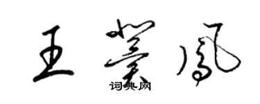 梁锦英王冀凤草书个性签名怎么写