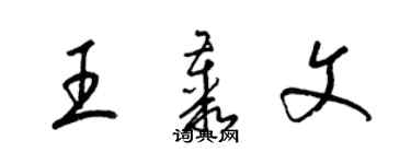 梁锦英王丛文草书个性签名怎么写