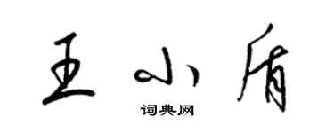 梁锦英王小盾草书个性签名怎么写