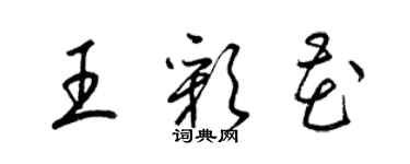 梁锦英王彩花草书个性签名怎么写