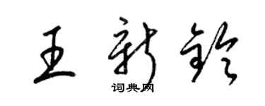 梁锦英王新铃草书个性签名怎么写