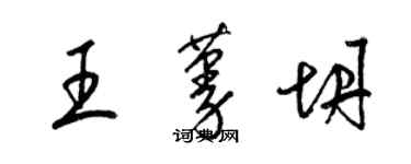 梁锦英王蔓坍草书个性签名怎么写