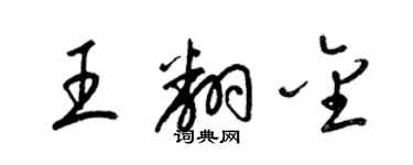 梁锦英王翻金草书个性签名怎么写