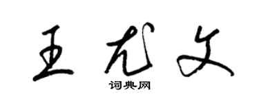 梁锦英王尤文草书个性签名怎么写