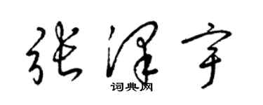 梁锦英张泽宇草书个性签名怎么写