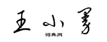 梁锦英王小曼草书个性签名怎么写