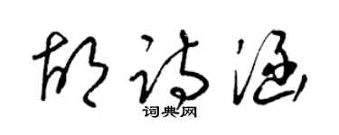 梁锦英胡诗涵草书个性签名怎么写