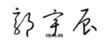 梁锦英郭宇辰草书个性签名怎么写