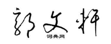 梁锦英郭文轩草书个性签名怎么写