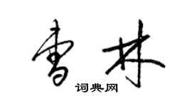 梁锦英曹林草书个性签名怎么写