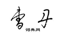 梁锦英曹丹草书个性签名怎么写