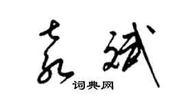 梁锦英袁斌草书个性签名怎么写