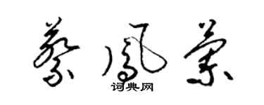 梁锦英蔡凤兰草书个性签名怎么写