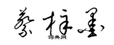 梁锦英蔡梓墨草书个性签名怎么写