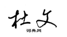 梁锦英杜文草书个性签名怎么写