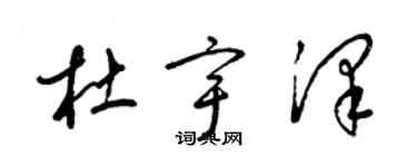 梁锦英杜宇泽草书个性签名怎么写