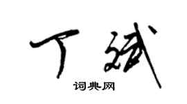 梁锦英丁斌草书个性签名怎么写