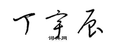 梁锦英丁宇辰草书个性签名怎么写
