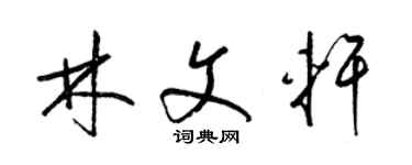 梁锦英林文轩草书个性签名怎么写